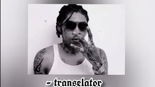 vybz kartel  translator spedupfast 🔥 [upl. by Marek161]