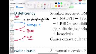 G6PD haematology 49 First Aid USMLE Step 1 in UrduHindi [upl. by Etan35]