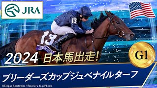 2024年 ブリーダーズカップジュベナイルターフ（G1） アンリマティス  JRA公式 [upl. by Millicent]