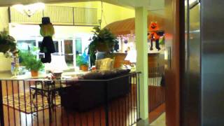 Comfort inn hotel tour Direct upload iPod touch 4th Generation 4G [upl. by Etteiluj844]