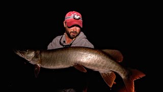 Structure Fishing Musky – Fishing Edge TV [upl. by Litnahs]