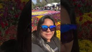 Canberra Floriade subscribe shortvideo howlongdoesittaketolearnmandarin [upl. by Flodnar123]