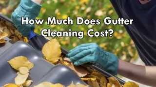 How Much Does Gutter Cleaning Cost [upl. by Falcone]