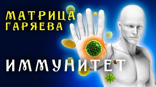 Матрица Гаряева Восстановление Иммунитета ☀️ Полная Защита Организма ☀️ Квантовое исцеление звуком [upl. by Attenaj838]