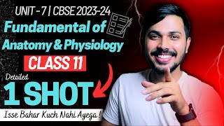 Fundamental of Anatomy amp Physiology Detailed Oneshot Unit 7 Physical Edu Class 11 CBSE 202324 🔥 [upl. by Terle]