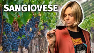 Wine Grapes 101 SANGIOVESE [upl. by Vern]