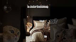 Jede Beziehung immer 😂 beziehung katzen katzenvideos catmeme süß [upl. by Aggarwal625]