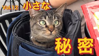 Vol12 【北海道・車中泊vlog】仔ねこ様の秘密編。猫を連れて、車中泊をしながら遊びに行ってきました。 [upl. by Noonberg226]