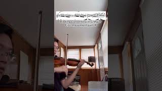 Rieding Concertino violinst violin violinmusic music classicalmusic violincover violincover [upl. by Adnoraj]