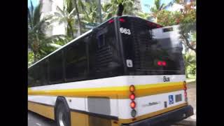 Honolulu Bus 663 Route 22 1995 BusRetired [upl. by Javed]