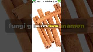 AMAZING BENEFITS OF CINNAMON IN 60 SECONDS [upl. by Yelsehc]