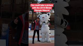 McMaster student volunteers at 2018 Winter Olympic Games [upl. by Dalenna957]