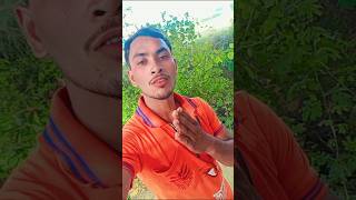 Ego ham hamar Dil music bhojpuri newsong song radherahde shortvideo short trending video [upl. by Ainezey]