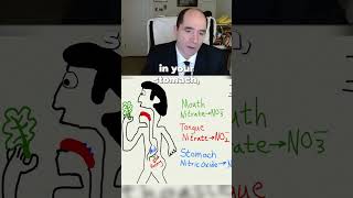 Why are plant nitrates good for you [upl. by Nogaem]