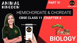 HEMICHORDATE amp CHORDATE  Animal Kingdom  Biology Class 11  Part 6  Pankh Academy [upl. by Venterea]