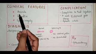 Hereditary Spherocytosis  Hemolytic Anemia [upl. by Marylee]