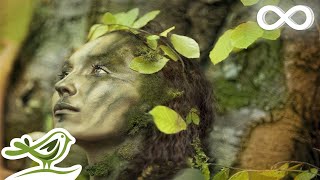 Dance of Life Relaxing Celtic Music for Meditation amp Sleep by Peder B Helland [upl. by Igal]