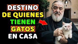 Padre Pío Este es el DESTINO de quienes tienen GATOS en casa  ¡No te pierdas este vídeo [upl. by Fagaly]