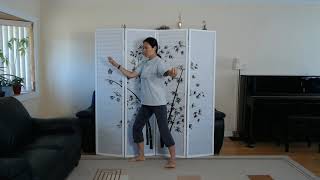 Tai Chi Yang Style 37 Form Movements 79 Mirror Image [upl. by Mcleod]