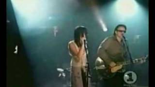 Summer wine  The corrs and Bono with lyrics [upl. by Ameehsat206]