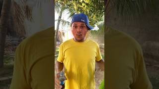 BOTEI PIMENTA NO REFRI DELE comedia shots youtube humor [upl. by Vasti364]