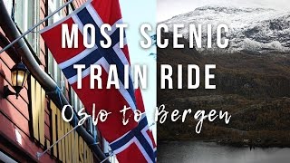 Most Scenic Train Ride Oslo to Bergen [upl. by Iormina]