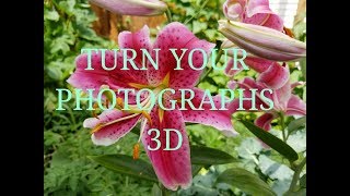 Turn a photograph into a stunning 3D image with Paper Tole [upl. by Imuyam]