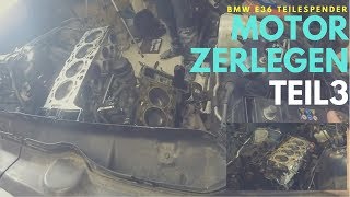 Motor zerlegen  Der Teilespender  BMW E36 M43 TÜB19  Teil 3 [upl. by Kcirej]