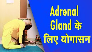 Yoga for adrenal glands  Keep your adrenal gland healthy with these Yoga tips [upl. by Atikam]