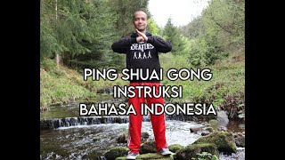 Ping Shuai Gong  Gerakan Chikung sederhana untuk Imunitas Detox Vitalitas Kesehatan 30 Menit [upl. by Lednyk]