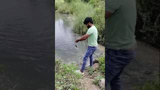 😱Fishing team fishing shorts fishing viralshorts youtubeshorts shortsfeed fish shorts short [upl. by Eiclek797]