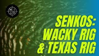 HOW TO SENKOS Wacky Rig and Texas Rig [upl. by Namus]