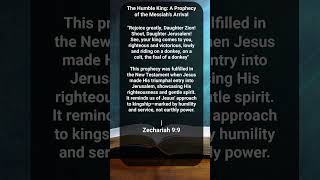 The Humble King A Prophecy of the Messiahs Arrival  Zechariah 99 [upl. by Aizatsana686]