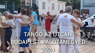 Tangó az Utcán  Budapest Palotanegyed 2024 [upl. by Ettezzus166]