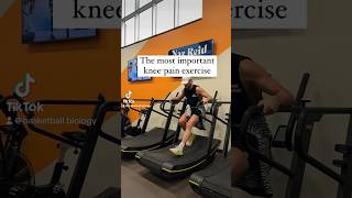 The most important kneepain exercise mobility exerciseshorts [upl. by Krigsman]