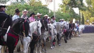 Asi es la Feria del Caballo Español [upl. by Eveivaneg]