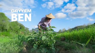 Harvesting vegetables that I planted last year  Healthy food from my garden [upl. by Adyaj393]