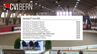 CVI Bern 2018  Staturday [upl. by Valdas]