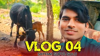 VLOG 04  Aaj Mai Gau Shala Gya 🐄😍 [upl. by Landers]