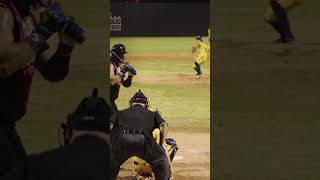 “Pistol Squat” TRICK Pitch  The Savannah Bananas shorts baseball dance [upl. by Ennylcaj]