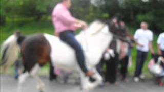 ApPlEbY horse fair 2011 [upl. by Avirt964]