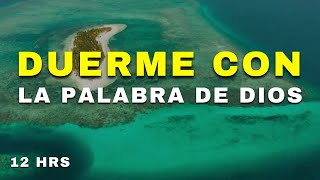 Salmos y versículos Bíblicos para Dormir  Reina Valera 1960  Duerme con la Palabra de Dios 12 HRS [upl. by Burnham]