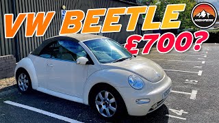 I BOUGHT A CHEAP VW BEETLE CONVERTIBLE [upl. by Catlee911]