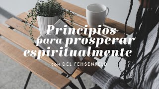 Principios para prosperar espiritualmente con Del Fehsenfeld  ANC Podcast [upl. by Markiv]