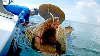 Caught a Monster Grouper that Weighed MORE than the BOAT [upl. by Fabozzi]