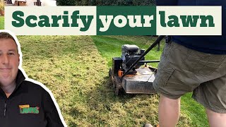 How to scarify your lawn step by step [upl. by Elohcan]