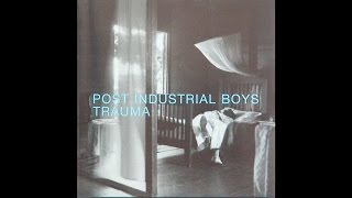 Post Industrial Boys  Trauma Album [upl. by Lenahs]