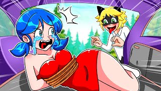 What Happens to Marinette  Catnoir Kidnapped  Miraculous Ladybug Animation [upl. by Norrabal]