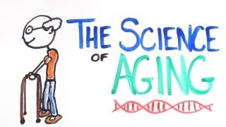 The Science of Aging [upl. by Amorita825]