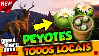 Localização de todos os Peyotes do GTA 5  Atualizado [upl. by Arised]